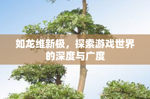 探索游戏世界的深度与广度图片