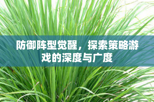 探索策略游戏的深度与广度图片
