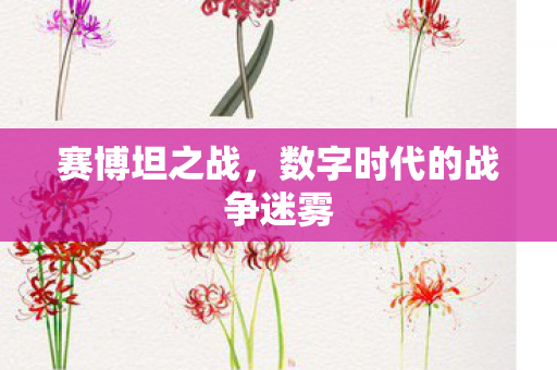 数字时代的战争迷雾图片