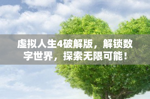 虚拟人生4破解版图片