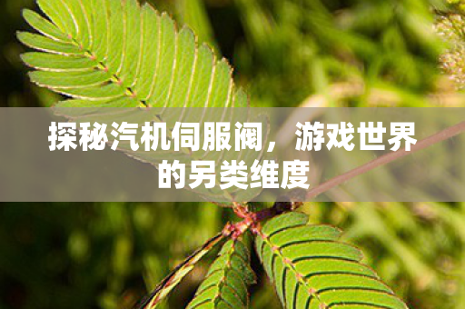 游戏世界的另类维度图片
