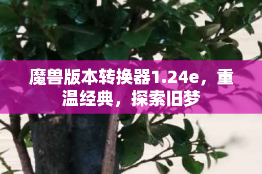 魔兽版本转换器1.24e，重温经典，探索旧梦