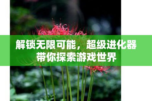 解锁无限可能，超级进化器带你探索游戏世界