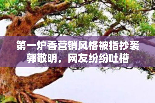 第一炉香营销风格被指抄袭郭敬明图片