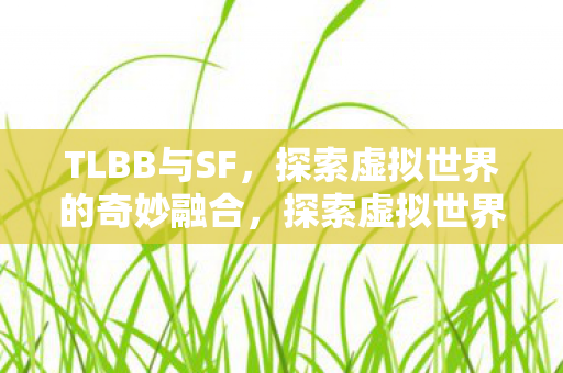 TLBB与SF的奇妙融合图片