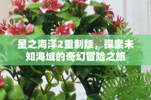 探索未知海域的奇幻冒险之旅图片