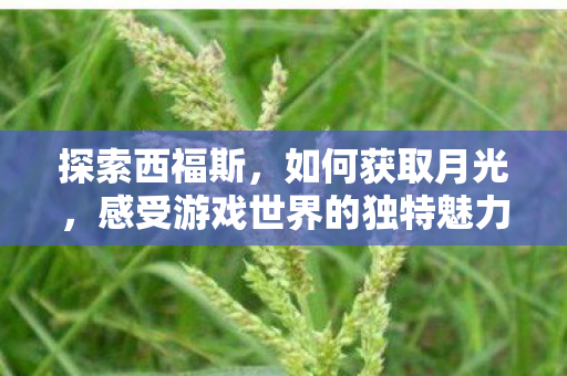 感受游戏世界的独特魅力图片