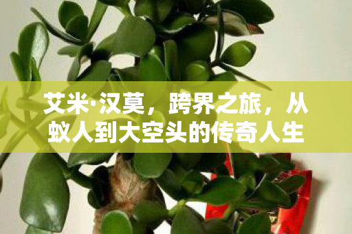从蚁人到大空头的传奇人生图片