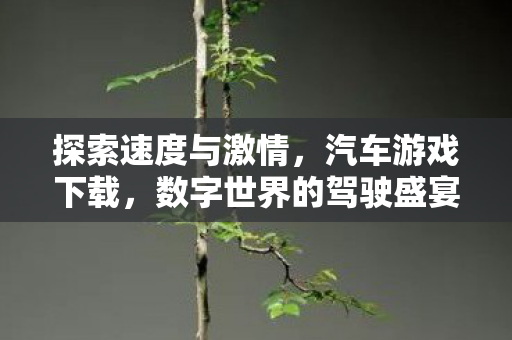 探索速度与激情,汽车游戏下载,数字世界的驾驶盛宴 探索速度与激情,汽车游戏下载,数字世界的驾驶盛宴