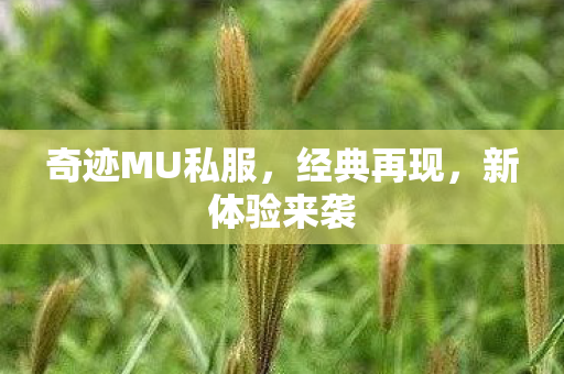 奇迹MU私服,经典再现,新体验来袭 奇迹MU私服,经典再现,新体验来袭