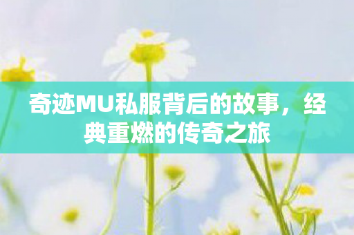 奇迹MU私服背后的故事,经典重燃的传奇之旅 奇迹MU私服背后的故事,经典重燃的传奇之旅