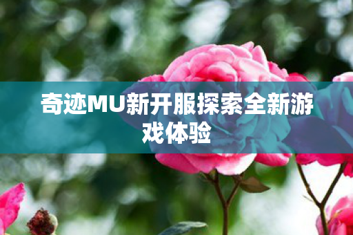 奇迹MU新开服探索全新游戏体验 奇迹MU新开服探索全新游戏体验