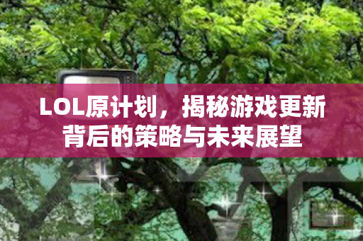 LOL原计划,揭秘游戏更新背后的策略与未来展望 LOL原计划,揭秘游戏更新背后的策略与未来展望