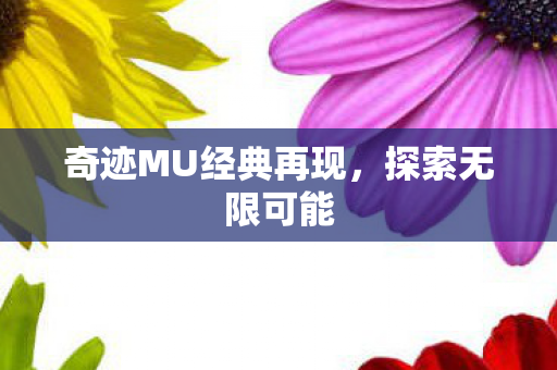 奇迹MU经典再现,探索无限可能 奇迹MU经典再现,探索无限可能