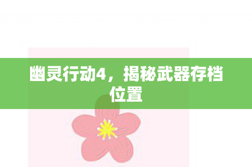幽灵行动4,揭秘武器存档位置 幽灵行动4,揭秘武器存档位置