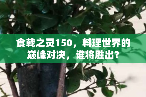 食戟之灵150,料理世界的巅峰对决,谁将胜出? 食戟之灵150,料理世界的巅峰对决,谁将胜出?