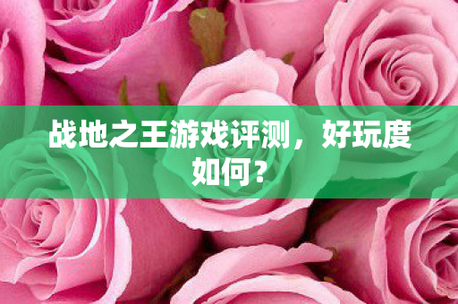 战地之王游戏评测,好玩度如何? 战地之王游戏评测,好玩度如何?