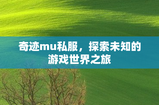 探索未知的游戏世界之旅图片