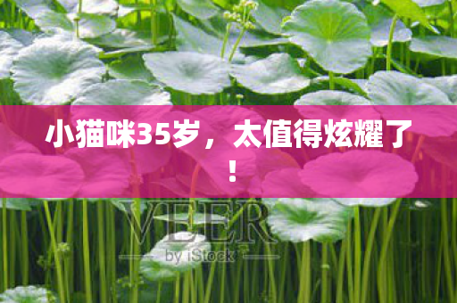 小猫咪35岁,太值得炫耀了! 小猫咪35岁,太值得炫耀了!