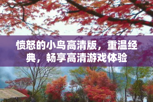 愤怒的小鸟高清版，重温经典，畅享高清游戏体验
