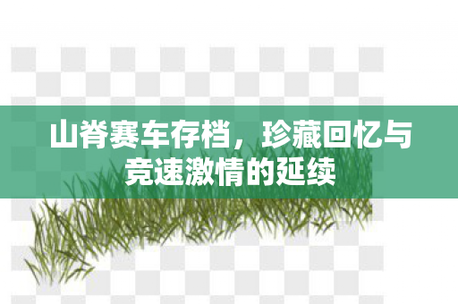 珍藏回忆与竞速激情的延续图片