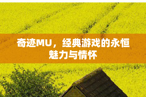 经典游戏的永恒魅力与情怀图片