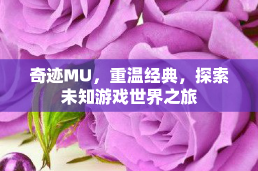 探索未知游戏世界之旅图片