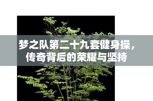 梦之队第二十九套健身操,传奇背后的荣耀与坚持 梦之队第二十九套健身操,传奇背后的荣耀与坚持