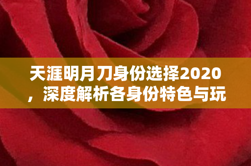 天涯明月刀身份选择2020,深度解析各身份特色与玩法 天涯明月刀身份选择2020,深度解析各身份特色与玩法