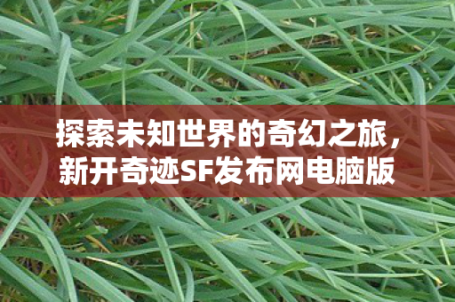 新开奇迹SF发布网电脑版图片