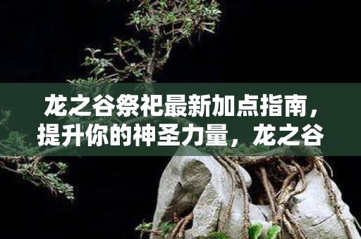 龙之谷祭祀最新加点指南图片