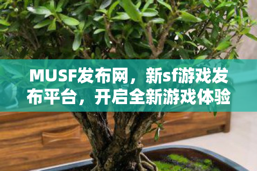 新sf游戏发布平台图片