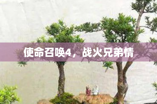使命召唤4,战火兄弟情 使命召唤4,战火兄弟情