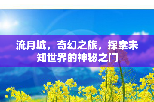流月城,奇幻之旅,探索未知世界的神秘之门 流月城,奇幻之旅,探索未知世界的神秘之门