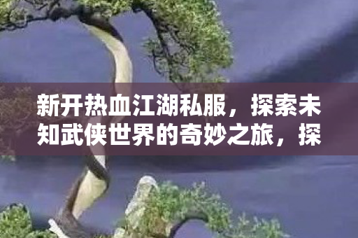 探索未知武侠世界的奇妙之旅图片
