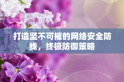 打造坚不可摧的网络安全防线,终极防御策略 打造坚不可摧的网络安全防线,终极防御策略