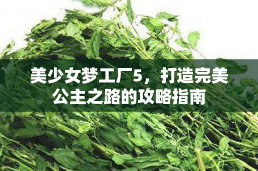 美少女梦工厂5，打造完美公主之路的攻略指南