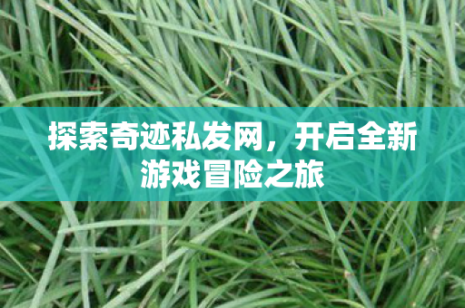 开启全新游戏冒险之旅图片