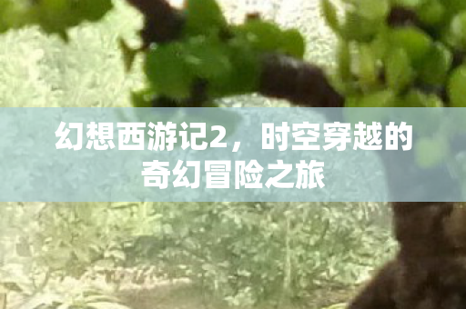 时空穿越的奇幻冒险之旅图片