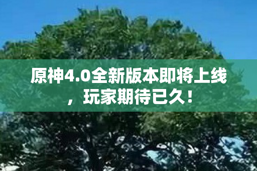 0全新版本即将上线图片
