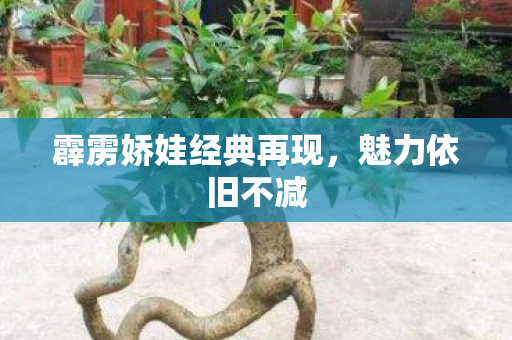 霹雳娇娃经典再现图片