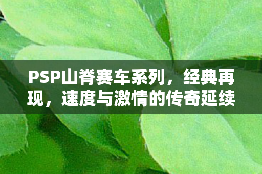 速度与激情的传奇延续图片