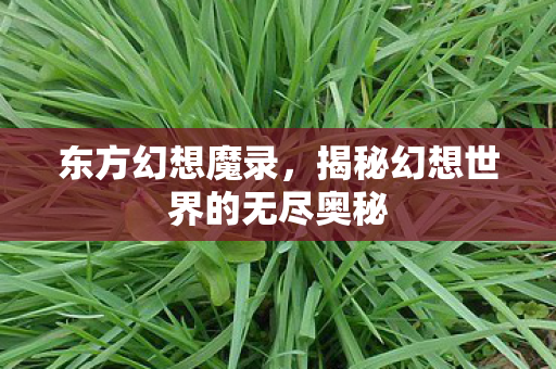 东方幻想魔录,揭秘幻想世界的无尽奥秘 东方幻想魔录,揭秘幻想世界的无尽奥秘