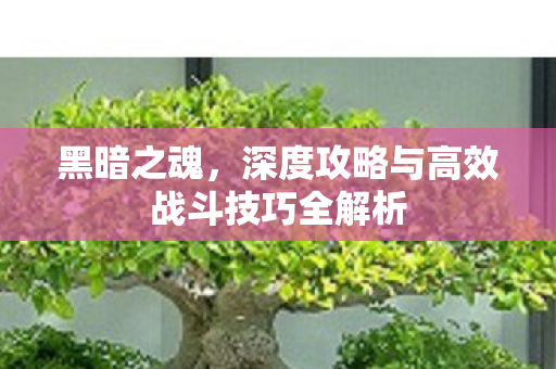 黑暗之魂,深度攻略与高效战斗技巧全解析 黑暗之魂,深度攻略与高效战斗技巧全解析
