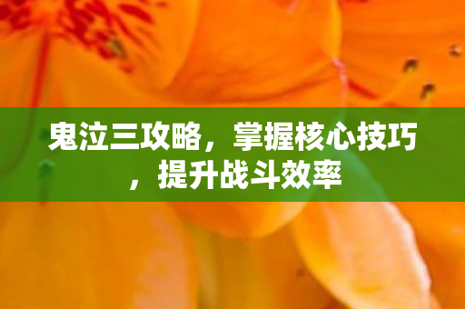 掌握核心技巧图片