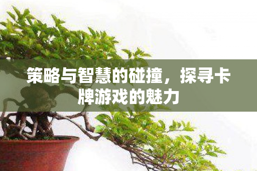 策略与智慧的碰撞,探寻卡牌游戏的魅力 策略与智慧的碰撞,探寻卡牌游戏的魅力