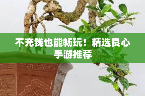 不充钱也能畅玩!精选良心手游推荐 不充钱也能畅玩!精选良心手游推荐