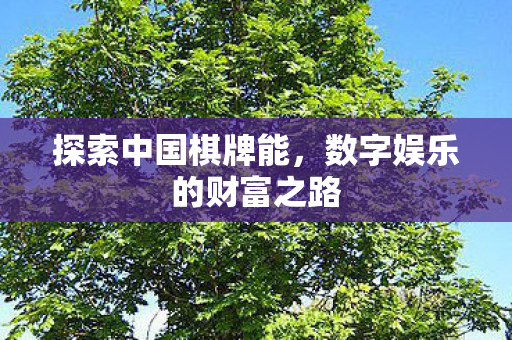 探索中国棋牌能，数字娱乐的财富之路