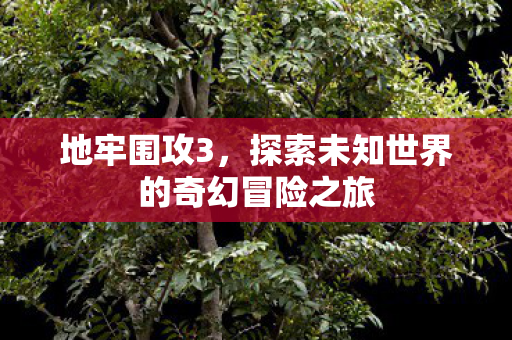探索未知世界的奇幻冒险之旅图片