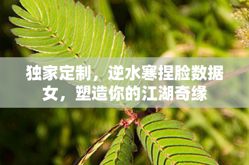 逆水寒捏脸数据女图片